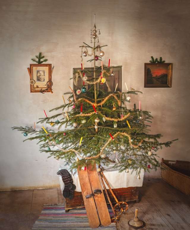 Weihnachtsbaum Geschichte - So Fing Alles An! | Weihnachtsguru.de